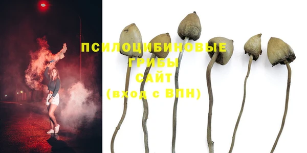 трава Алзамай